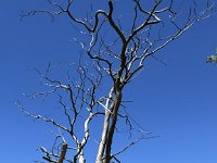Radreise Kattegattleden-172